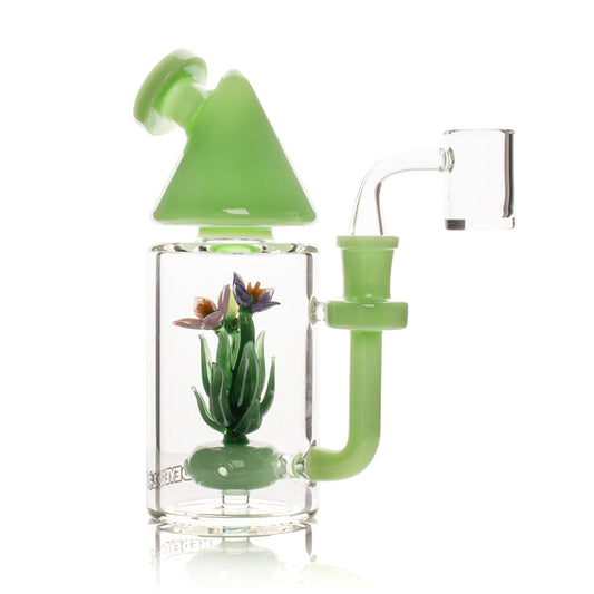 RED EYE GLASS® 7'' Terrarium