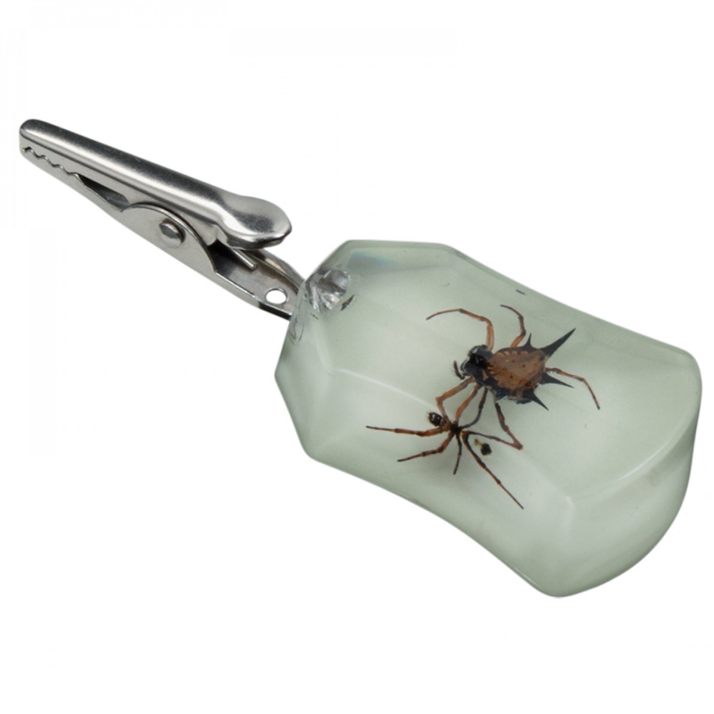 Spider Roach Clip