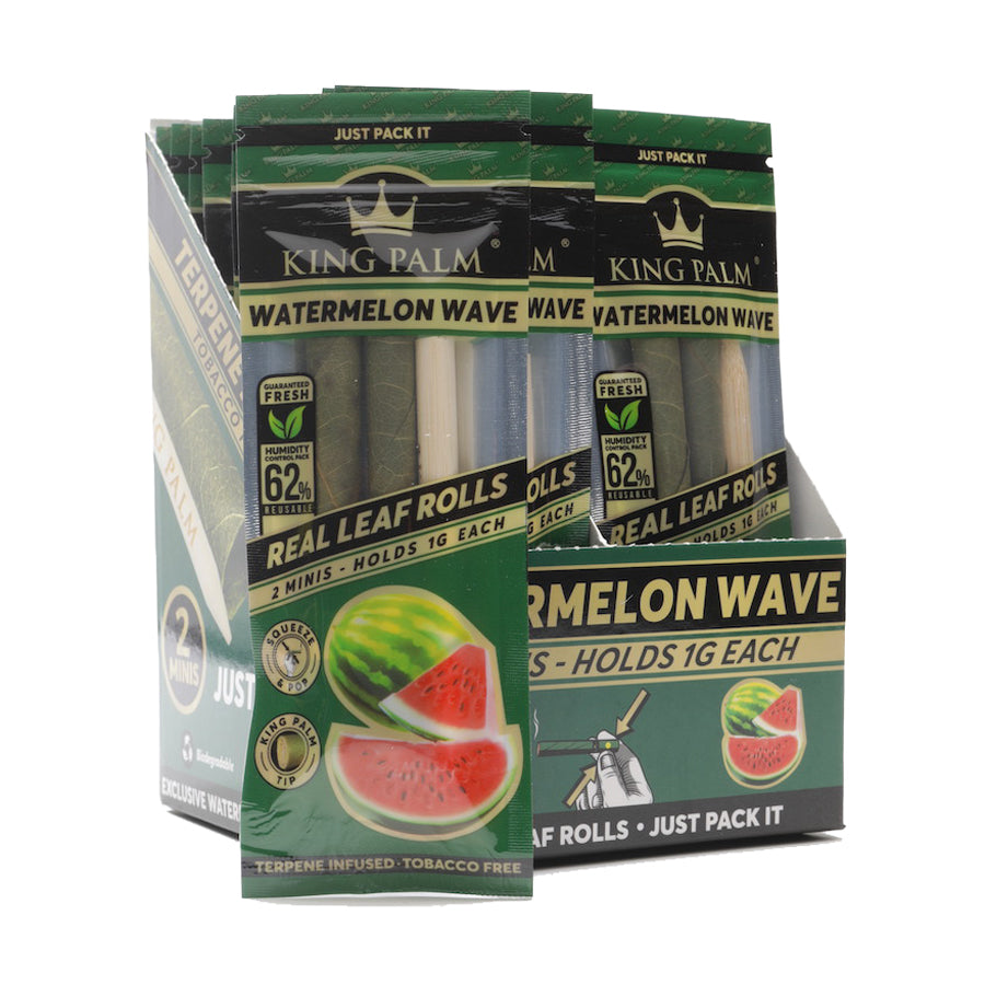 King Palm - Watermelon Wave