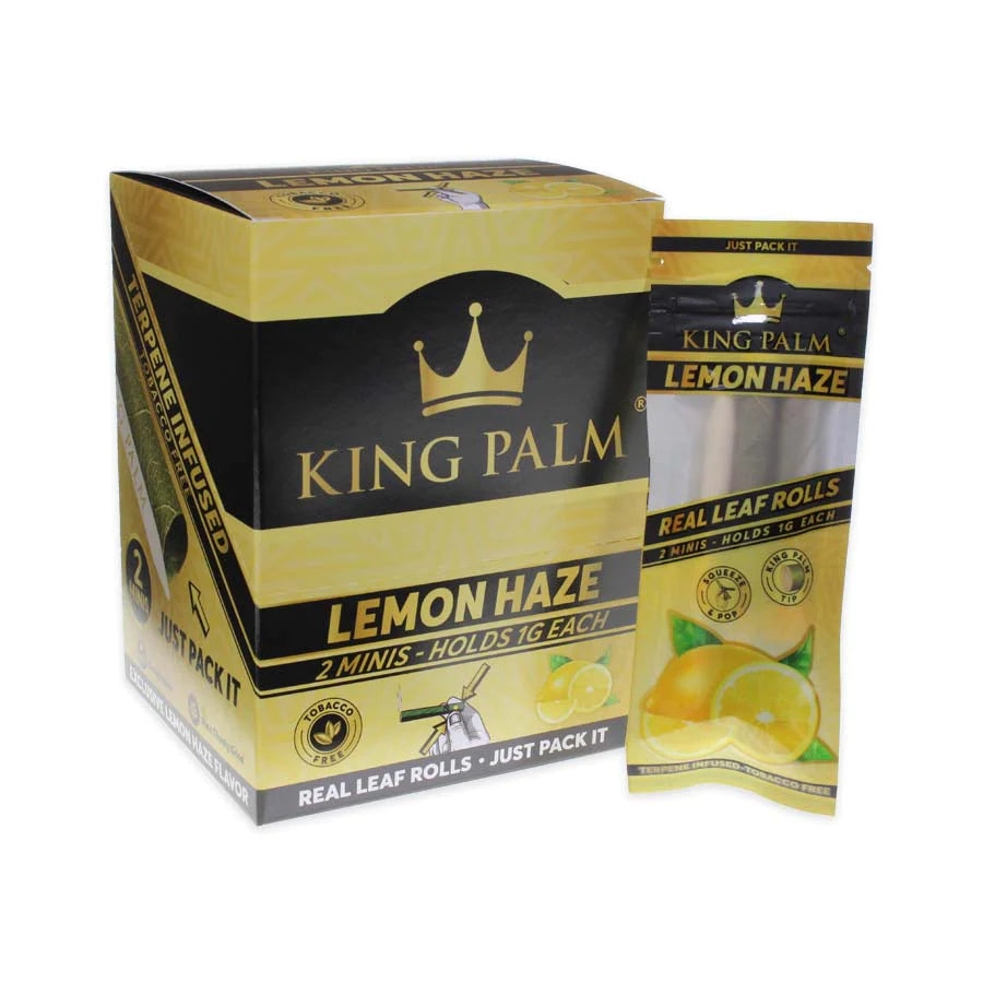King Palm - Lemon Haze