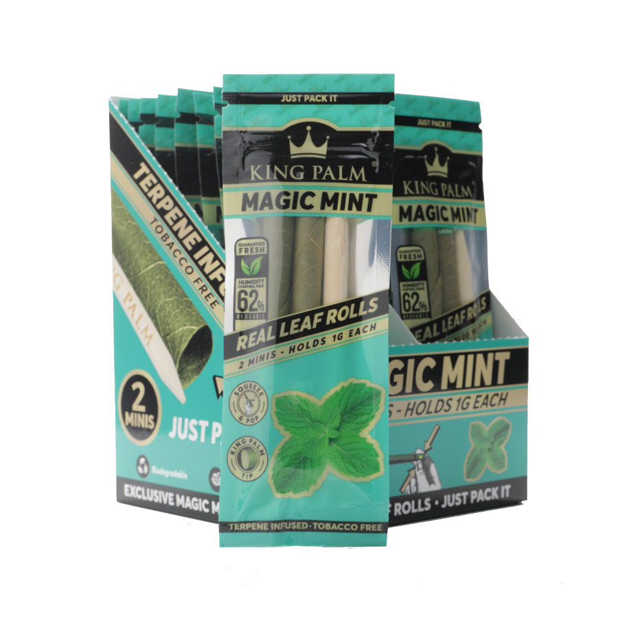 King Palm - Magic Mint